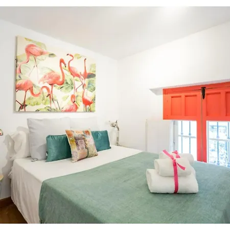 Duplex Seville-historic Center Sewilla