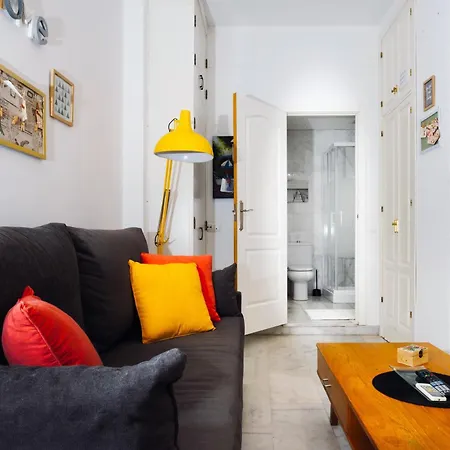 Duplex Seville-historic Center Apartament