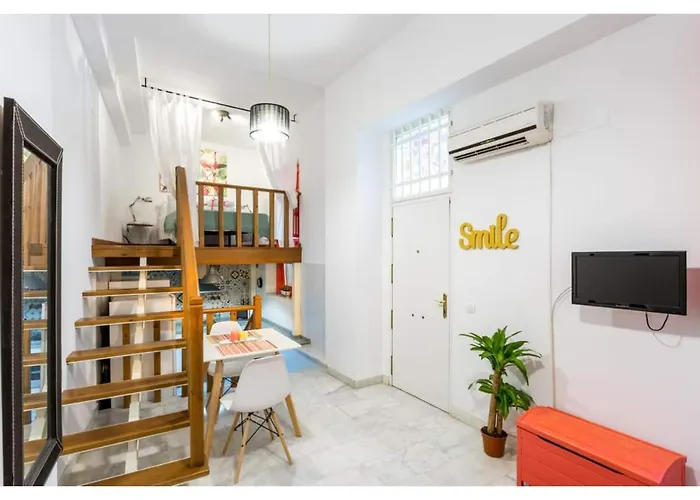 Apartment Duplex Seville-historic Center